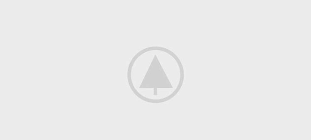 wood-gallery-placeholder-4 wood-gallery-placeholder-4